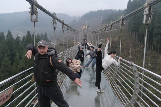 新有菜 高清视频 在线观看海报