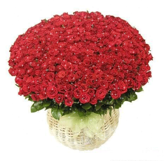 宅女精品福利视频导航网址大全海报