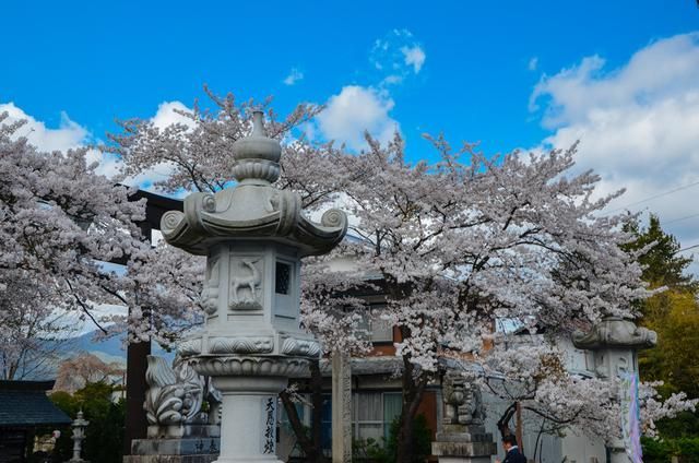 尤物视频青青草网站在线观看海报