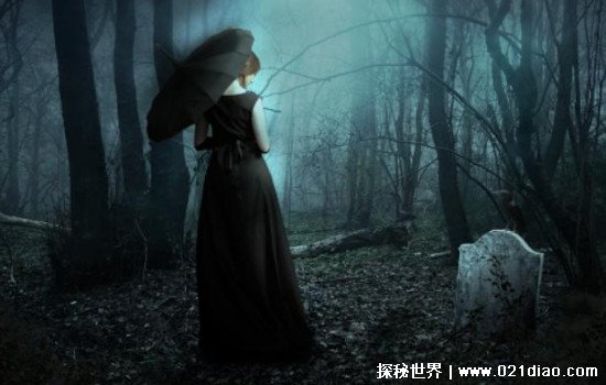 手指间的旋律视频海报