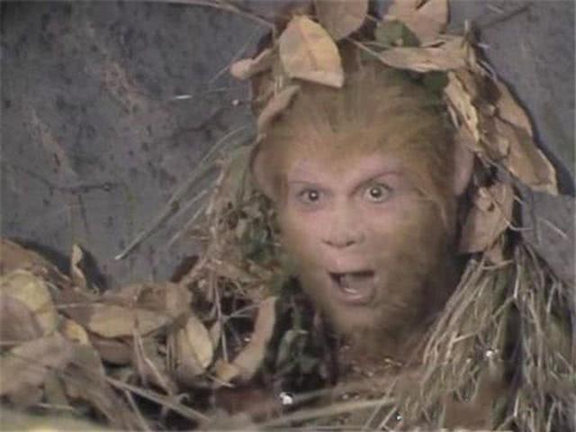 精品1区2区3区4区幻晨辰